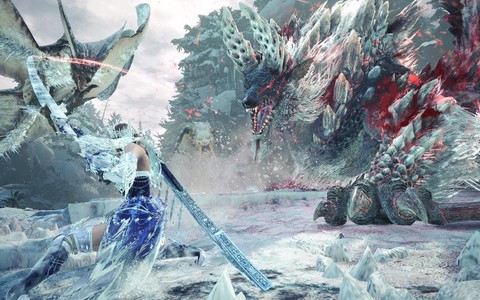 怪物猎人冰原如何进[图2]