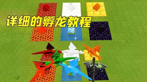 我的世界怎么卵龙蛋[图2]