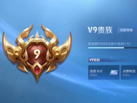 王者荣耀9级什么段位[图1]