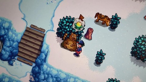 星露谷物语熊有什么用[图2]