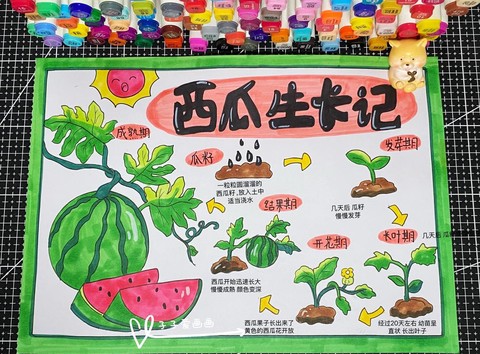 迷你世界怎么种出西瓜