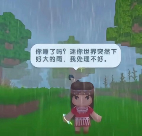 迷你世界下雨能干什么