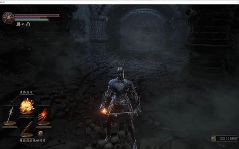 黑暗之魂3骨头怎么刷[图2]